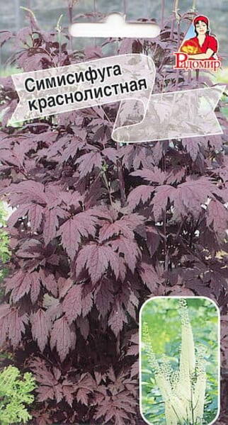 Lursslill apalatši