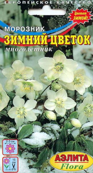 Lumeroos must "ZIMNIY CVETOK" Helleborus niger