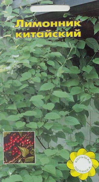 Sidrunväändik hiina