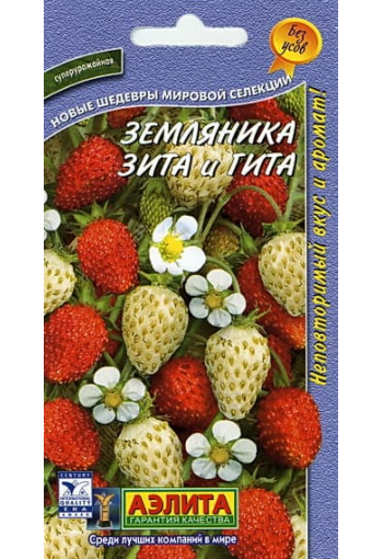 Alpine strawberry "Zita & Gita" (duo mix)