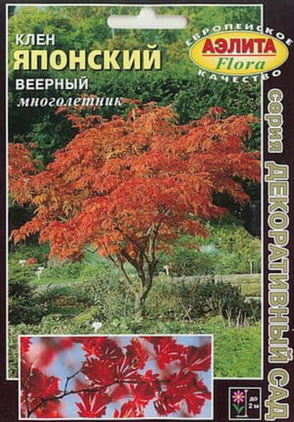 Клён дланевидный (клён веерный) Acer palmatum