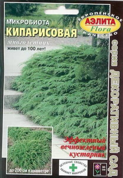 Mikrobioota "KIPARISOVAJA" Microbiota decussata
