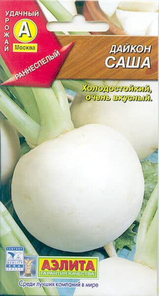 Oriental radish "Sasha"