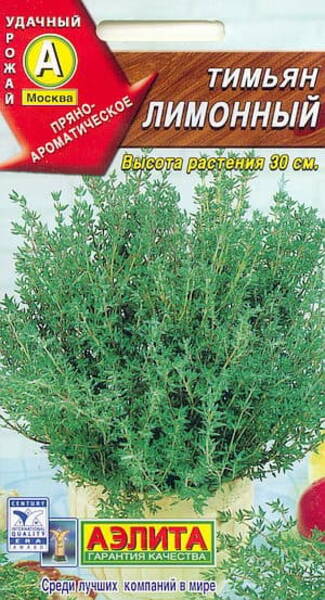 Lemon thyme