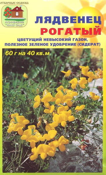 Käringtand "Solnyshko"
