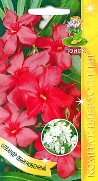 Oleander harilik Nerium oleander