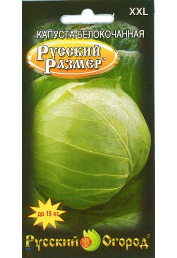 White cabbage "Russian Size XXL"