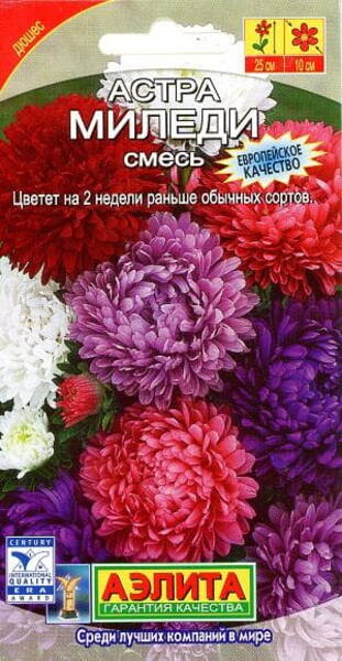 Астра "Миледи" (смесь)
