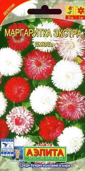 Gänseblümchen "Ekstra Mix"