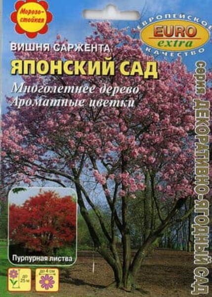 Sargenti kirsipuu "Japanese Garden" Prunus sargentii