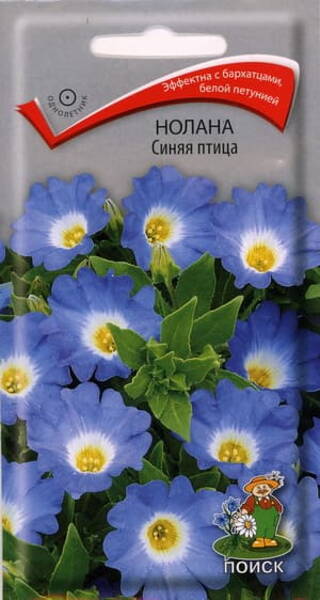 Нолана "Синяя Птица"