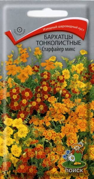 Peiulill ahtalehine "Starfire" (mix) Tagetes tenuifolia