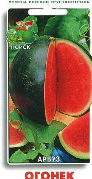 Арбуз "Огонёк"