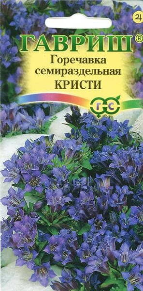 Fransgentiana "Kristi"