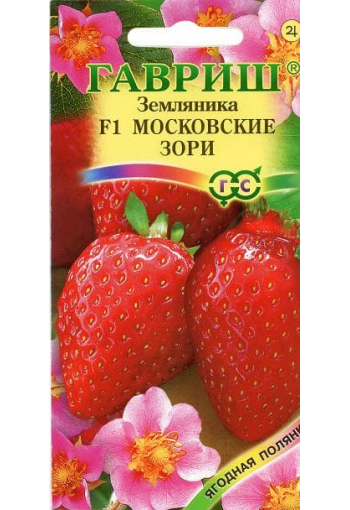 Strawberry "Moskovskye Zory"