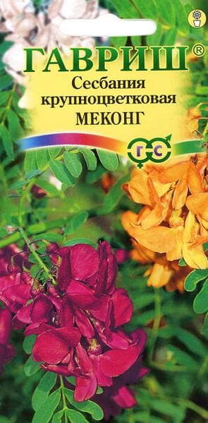 West Indian pea (Katurai, Agati, Vegetable hummingbird)