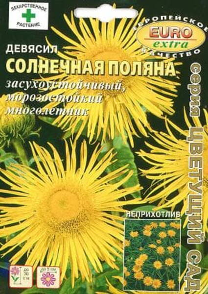 Mõõklehine vaak "Sonechnaja Poljana" Inula ensifolia