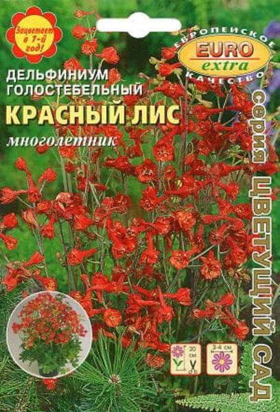 Paljavarreline kukekannus "Red Fox" Delphinium nudicaule