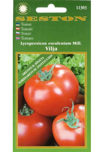 Tomato "Vilja"