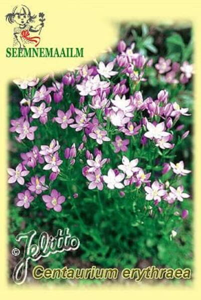 Centaury (Feverwort)