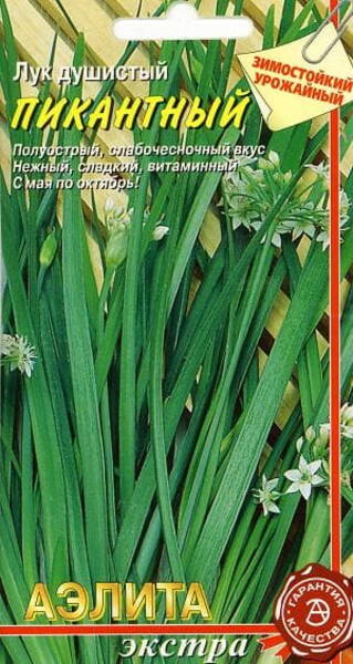 Lõhnav sibul "Pikantne"