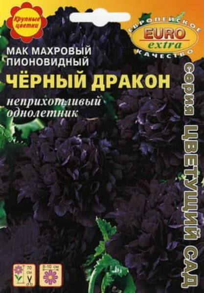 Magun pojengikujuline "Black Dragon" Papaver paeoniflorum