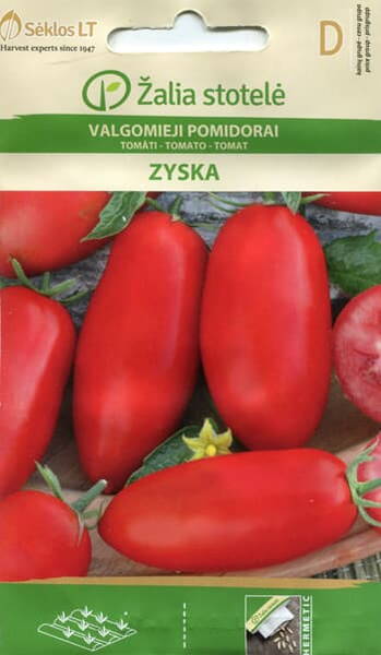 Tomato "Zyska"