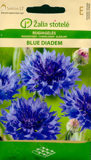 Синий цветок: изображения без лицензионных платежей