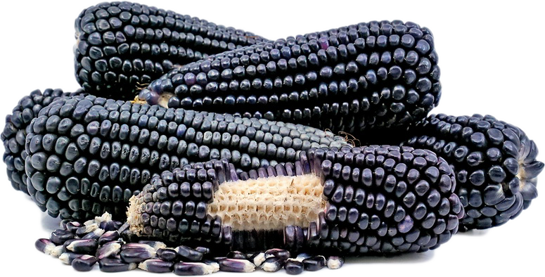 Black corn