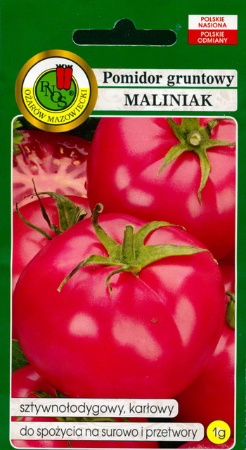 Tomato Maliniak : pink beaf