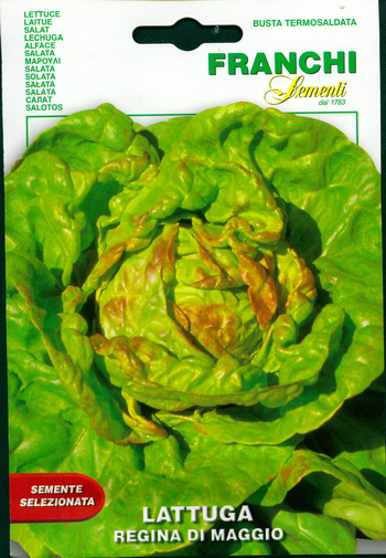 Ice Head Lettuce May Queen: Seeds