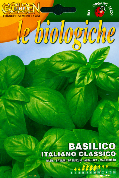 Sweet basil Italiano classico seeds