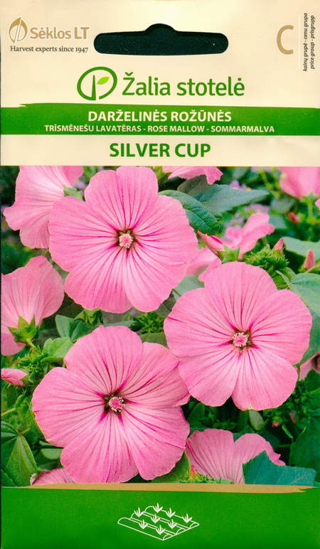 Rose Mallow Silver Cup Seeds