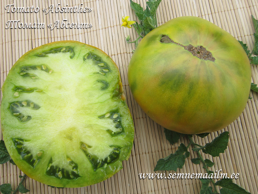 Tomat Absinthe Green tomato