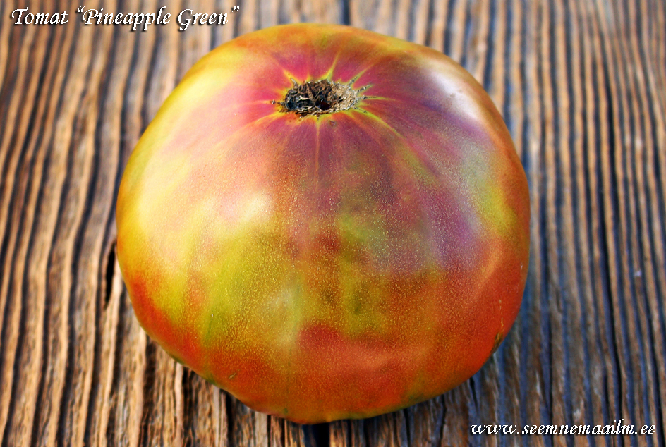 Tomat Roheline ananass, Tomato Pineapple green, Томат Зелёный ананас