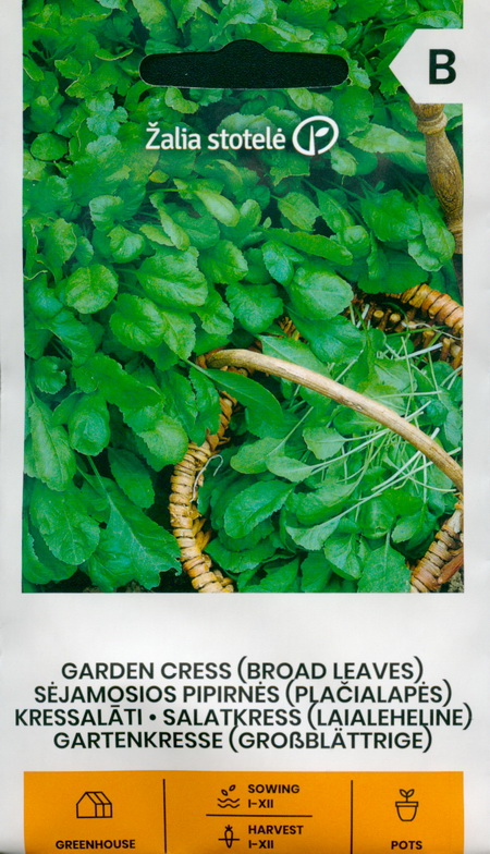 Broad Leaf Cress