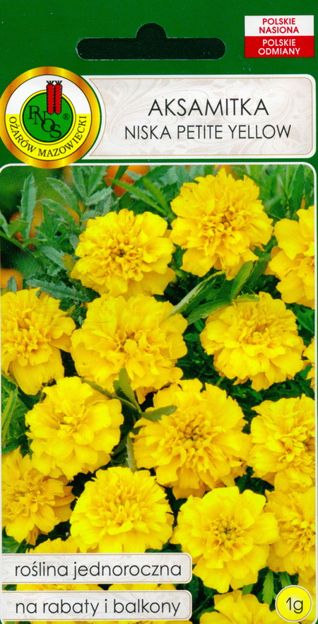 French marigold Petite Yellow: seeds: buy