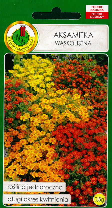 African marigold Mary Helen: seeds: buy