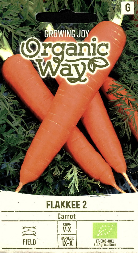 Морковь прорастает в погребе: простой трюк для решения проблемы