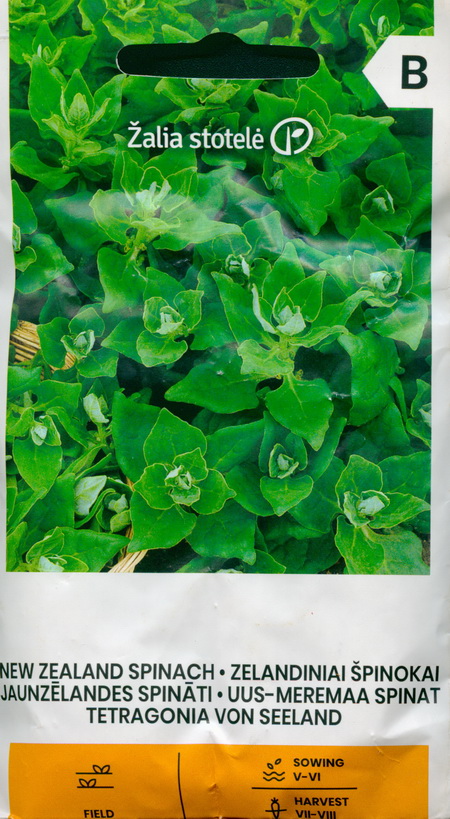 New Zealand Spinach Seeds Buy   Spinach New Zeland 