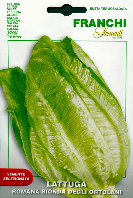 Cos lettuce Bionda Degli Ortolani: seeds