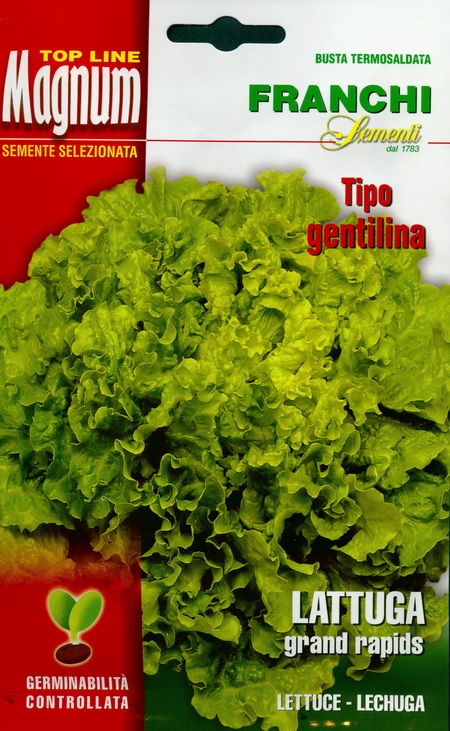 Iceberg lettuce Grand Rapids: seeds for Profi: buy online