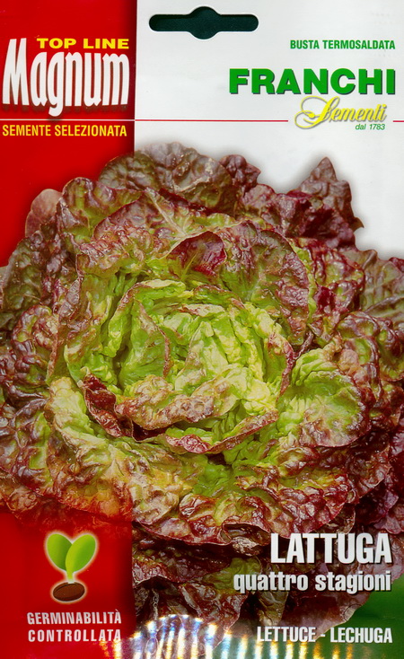 Head lettuce Quattro Stagioni: seeds for Profi