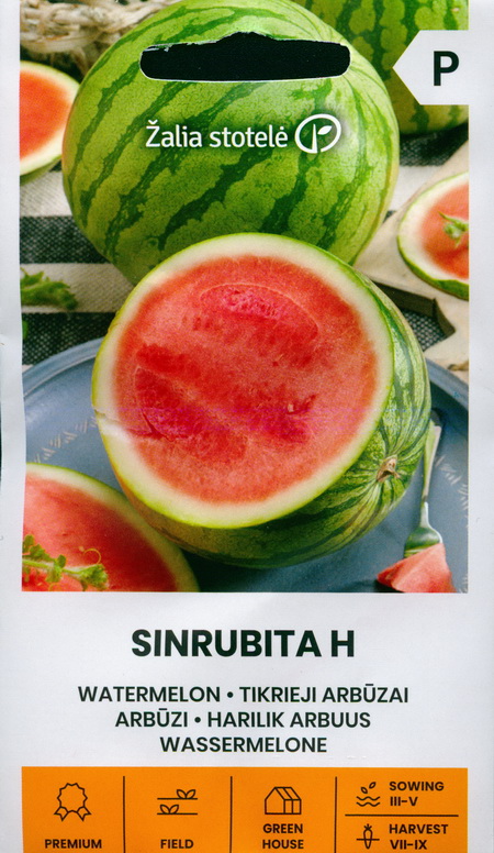 drought resistant watermelon
