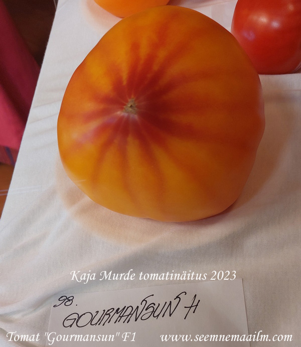 tomato gourmansun F1