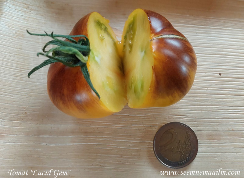 tomato lucid gem