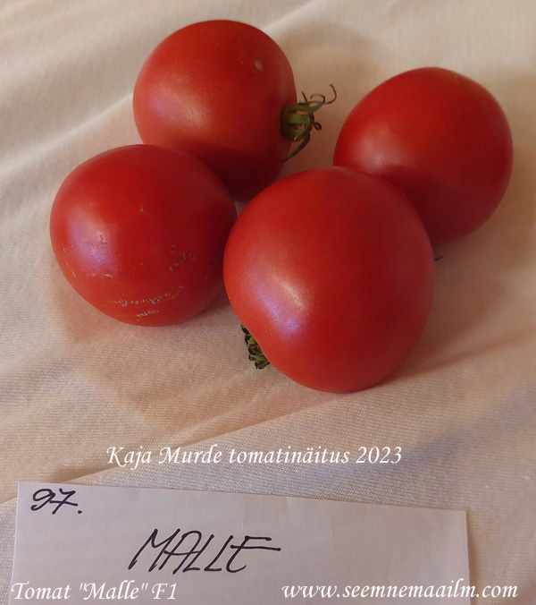 tomat malle