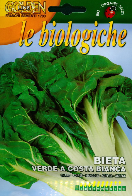 Swiss chard Verde a Costa bianca : seeds