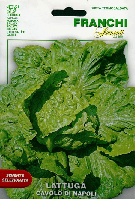 Oily lettuce Cavolo di Napoli: seeds: buy