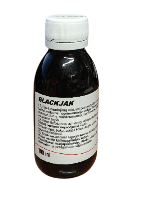 black jack